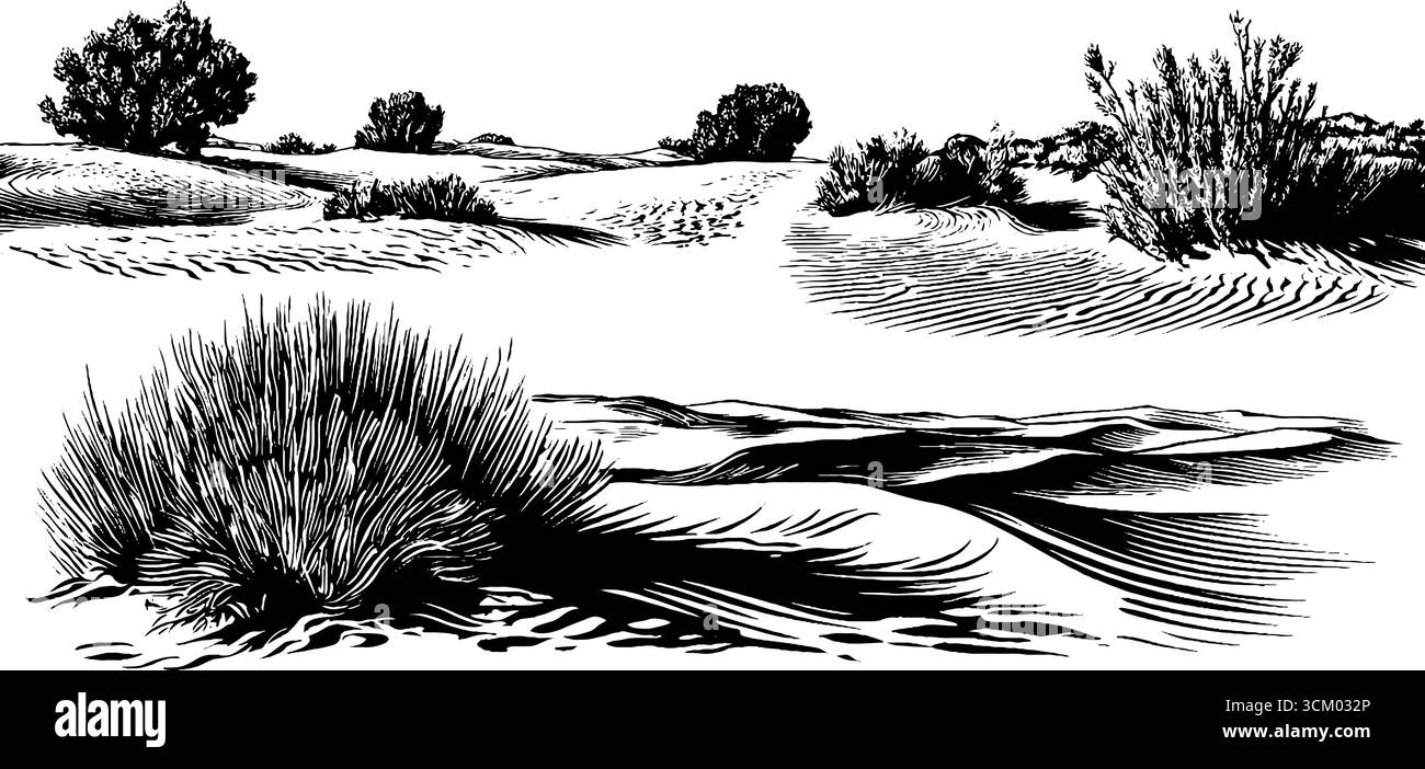 Wüstenlandschaft mit Sanddünen, Kräuseln, Trunk und Horizont - Retro-Illustration. Stock Vektor