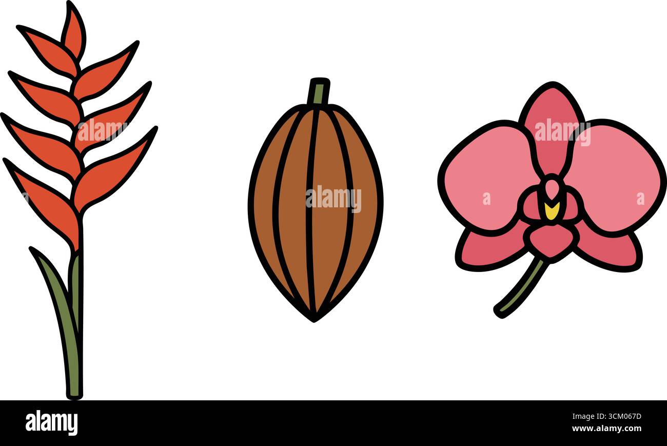 Ein einfaches horizontales Paar von Pflanzenelementen, das eine strukturierte Samenkapsel und eine zarte rosafarbene Orchidee für dekorative Zwecke zeigt Stock Vektor