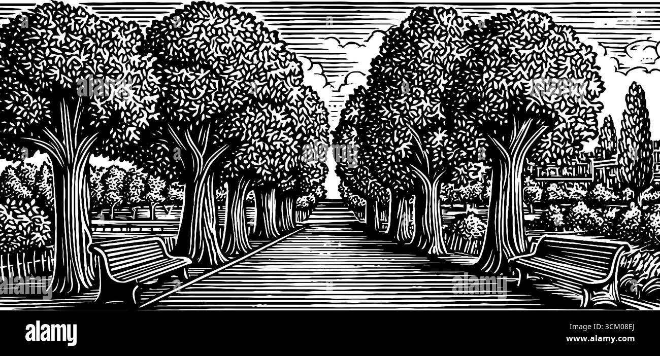 Von Bäumen gesäumte Promenade mit Bänken in schwarz-weißer Vintage-Skizze. Stock Vektor