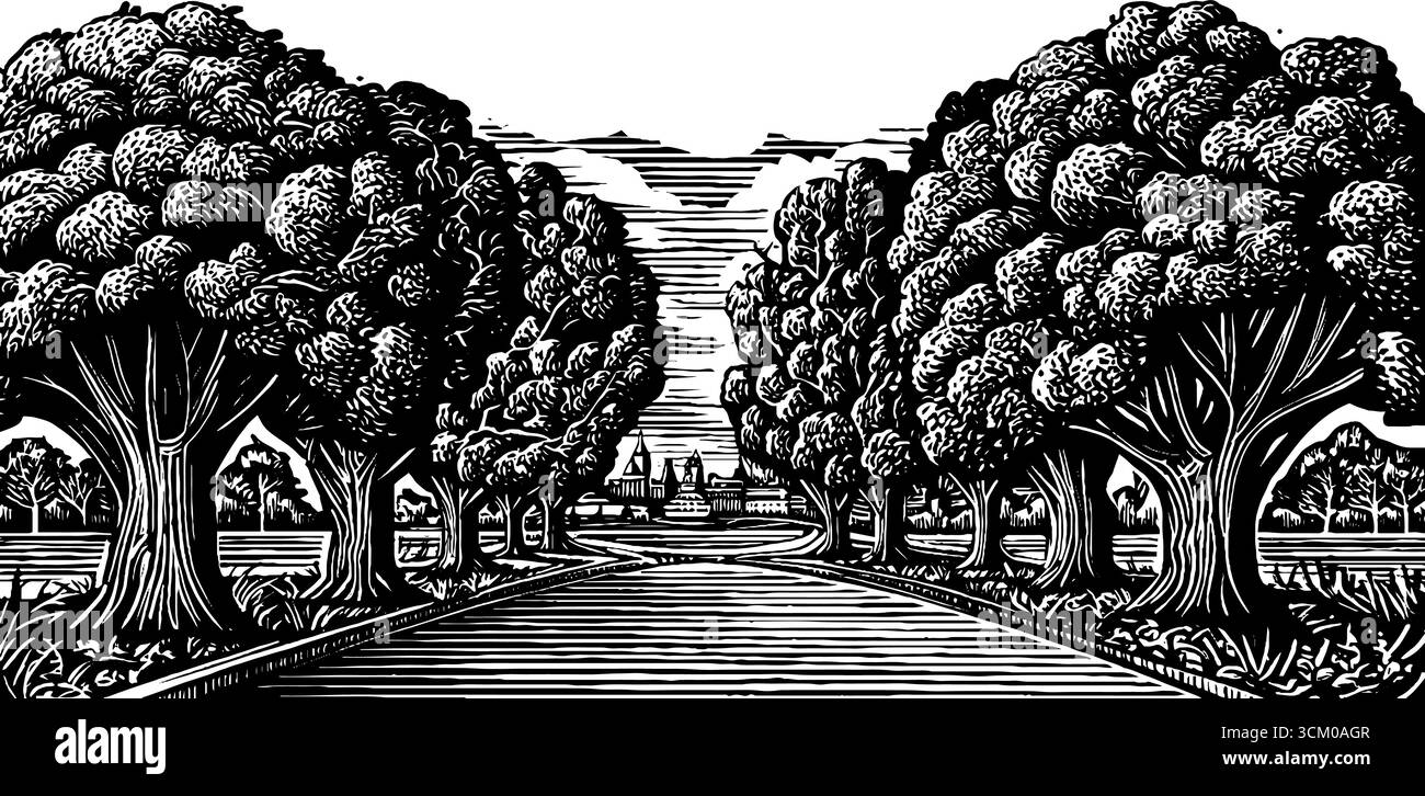 Ruhige, von Bäumen gesäumte Promenade mit Bänken in Schwarz und weiß für Design und Dekoration. Stock Vektor