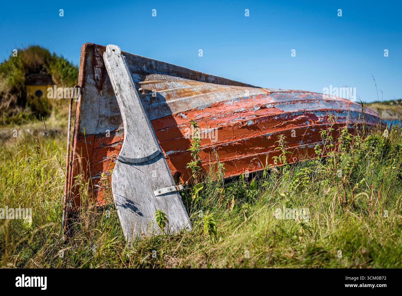 Ein verlassenes Dory im Gras bei Durrell, Neufundland, mit einem Wurzelkeller im Hintergrund Stockfoto