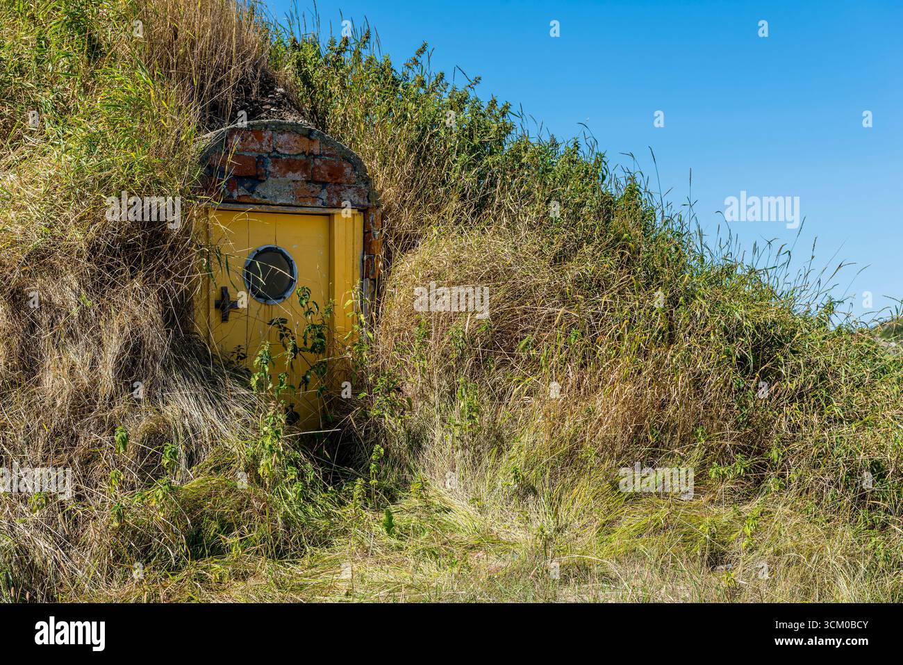 Ein historischer Wurzelkeller mit einer gelben Tür und einem Grasdach, der in den Hügel von Durrell, Neufundland, gebaut wurde Stockfoto