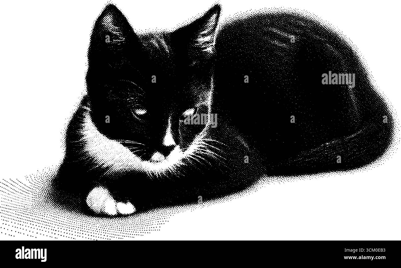 Niedliche Vintage-Katze im Halbton-Stil für Retro-Design und Dekor. Stock Vektor