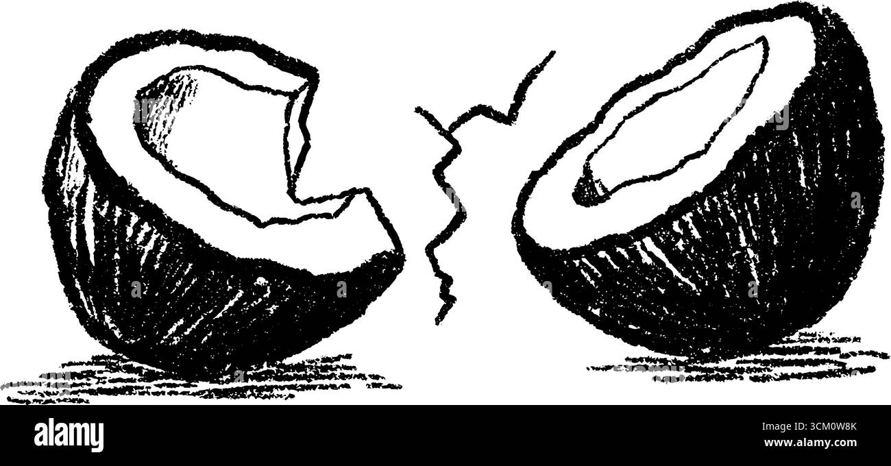 Handgezeichnete Skizze einer gerissenen Kokosnuss mit rauer Schalenstruktur. Stock Vektor