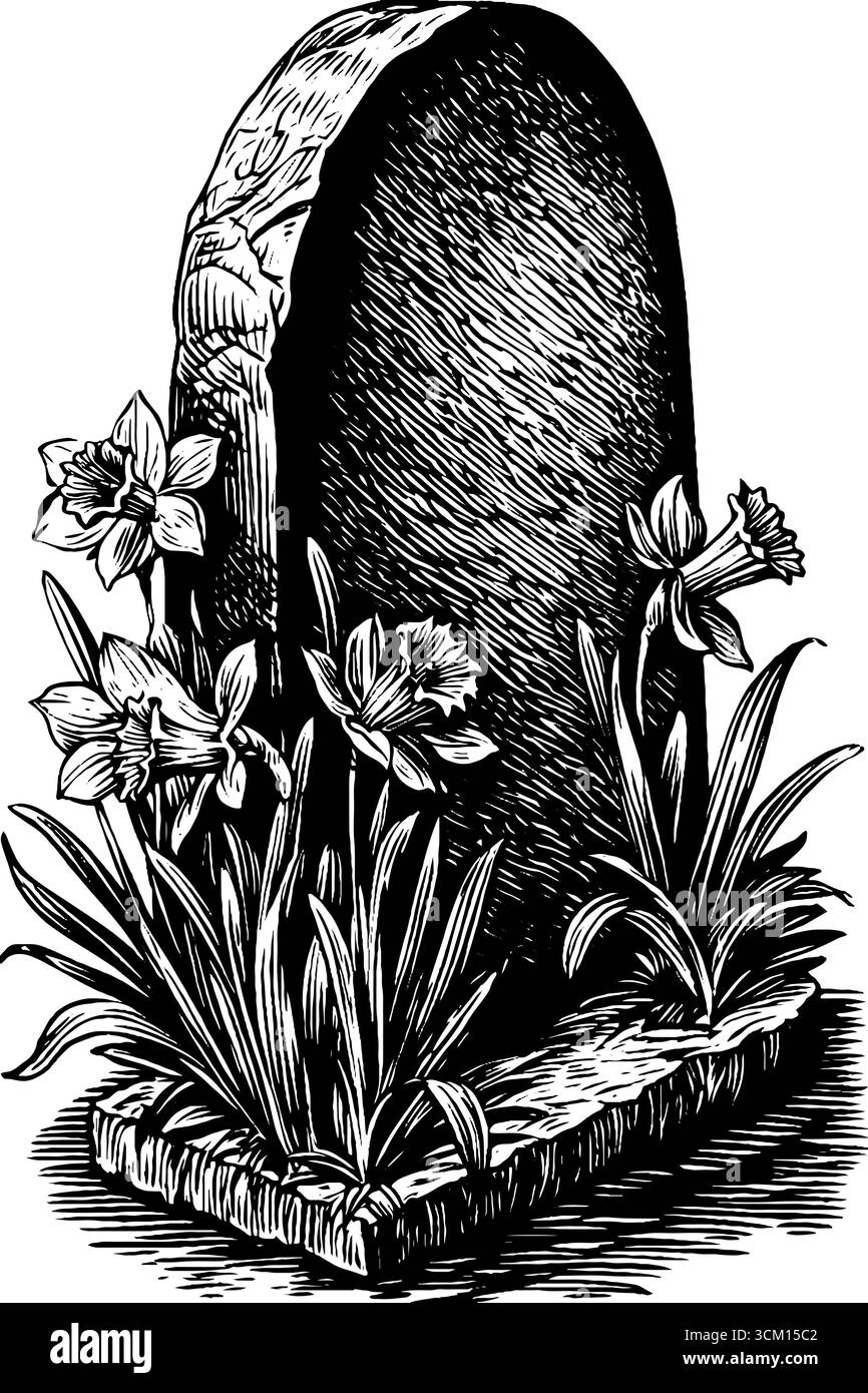 Vintage geschnitzter Bogenkegel mit Narzissen - gravierte Illustration für Design und Dekoration. Stock Vektor