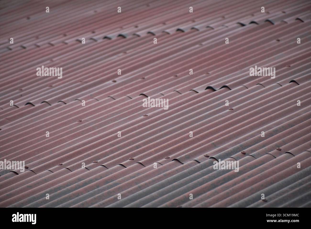 Hintergrundstruktur des Dachs aus altem Zinkblech, Metalldachblech mit rostiger Textur Stockfoto