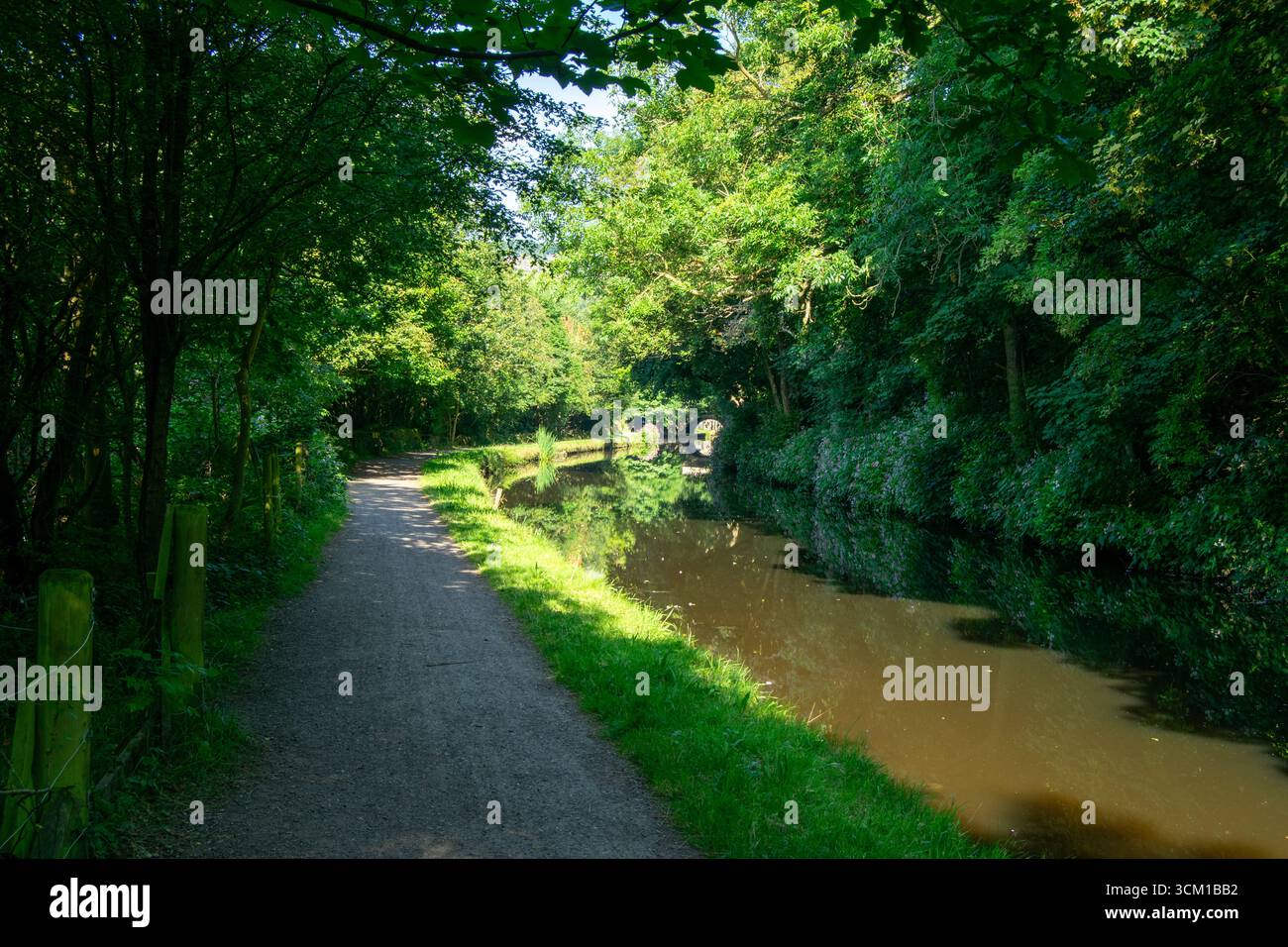 Rochdale Canal, West Yorkshire, England. Schattiger Schleppweg entlang des friedlichen Kanals, der üppiges Sommerlaub reflektiert, führt zu einer entfernten Brücke Stockfoto