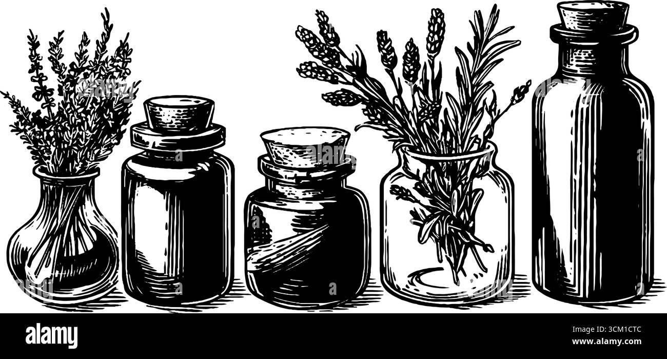 Vintage-Kräuterapotheke mit Heilpflanzen in beschrifteten Gläsern für Retro-Design. Stock Vektor