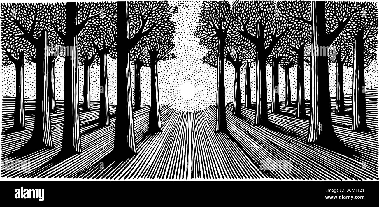 Mondschein-Wald mit Schatten in Schwarz und weiß - Vintage-Holzschnitt-Skizze. Stock Vektor