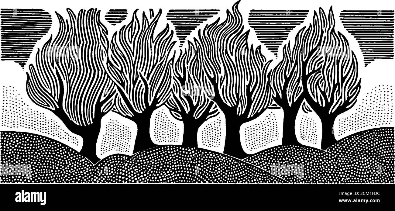 Wildfire umhüllte Bäume Silhouette vor dunklem Himmel in Vintage-Schwarz-weiß-Kunst. Stock Vektor