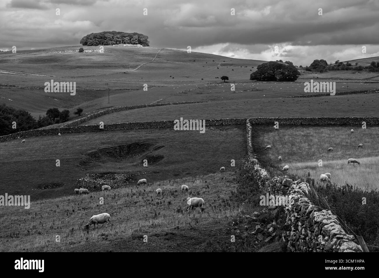 Blick auf Johnson's Knoll von Coldeaton, Peak District National Park, Derbyshire, England Stockfoto