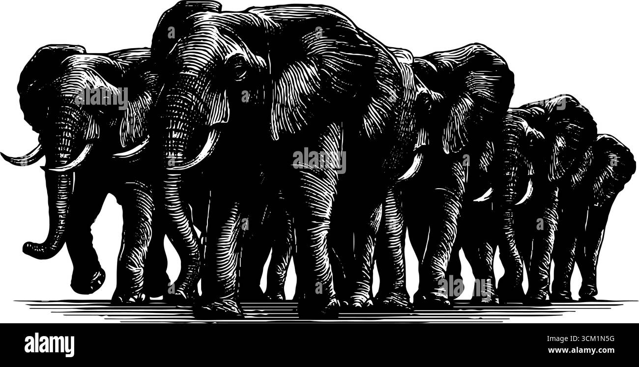 Vintage-Gravur einer Elefantenherde, die in Silhouette für Wildtiere spaziert. Stock Vektor