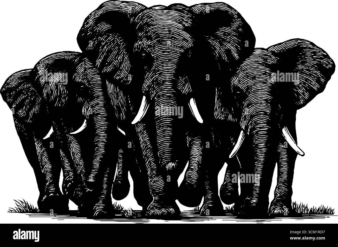 Majestätische Elefantenherde in Vintage-Gravur für naturbelassenes Design. Stock Vektor