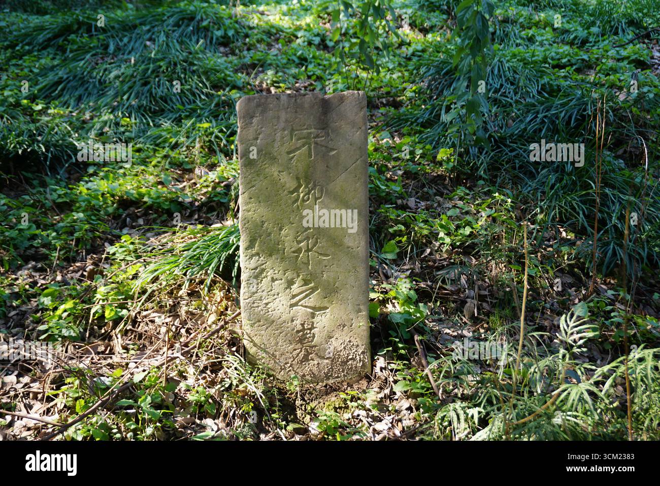 Zhenjiang (Jiangsu), China: Grab von Liu Yong im Beigushan Park Stockfoto