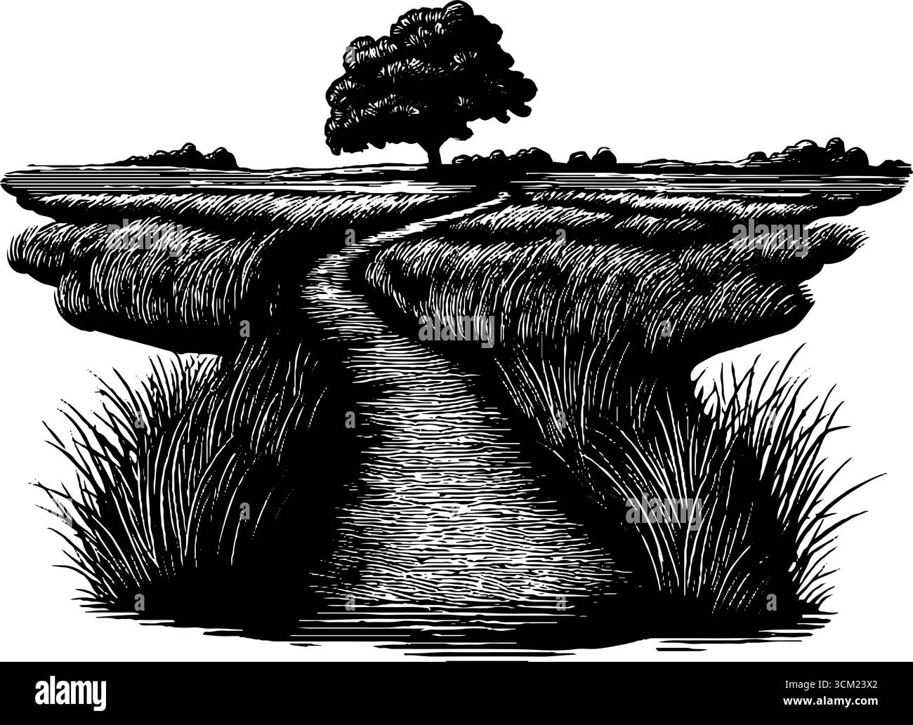 Gravierter Pfad durch die malerische Wiese mit Baumsilhouette. Stock Vektor