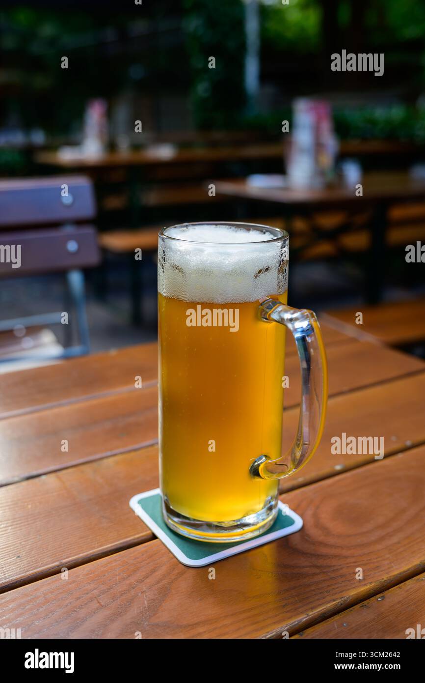 Bierkrug mit einem halben Liter oder einem Pint Pils in einem deutschen Biergarten Stockfoto
