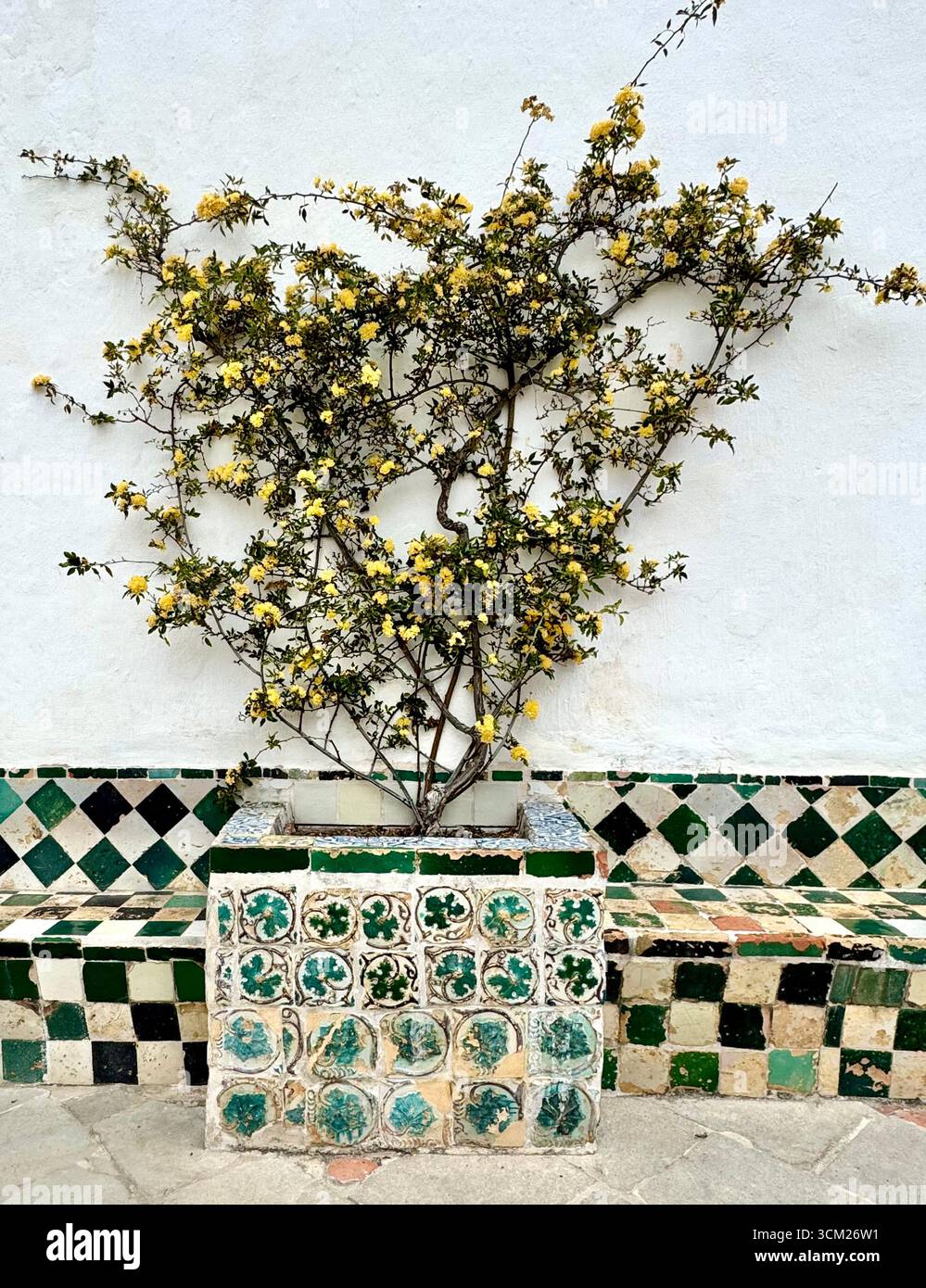 Gelber Kletterrosen in einer Pflanzbox mit traditionellen Azulejos-Fliesen Preta Garden National Palace of Sintra Portugal - Smartphone-aufgenommenes Stockfoto