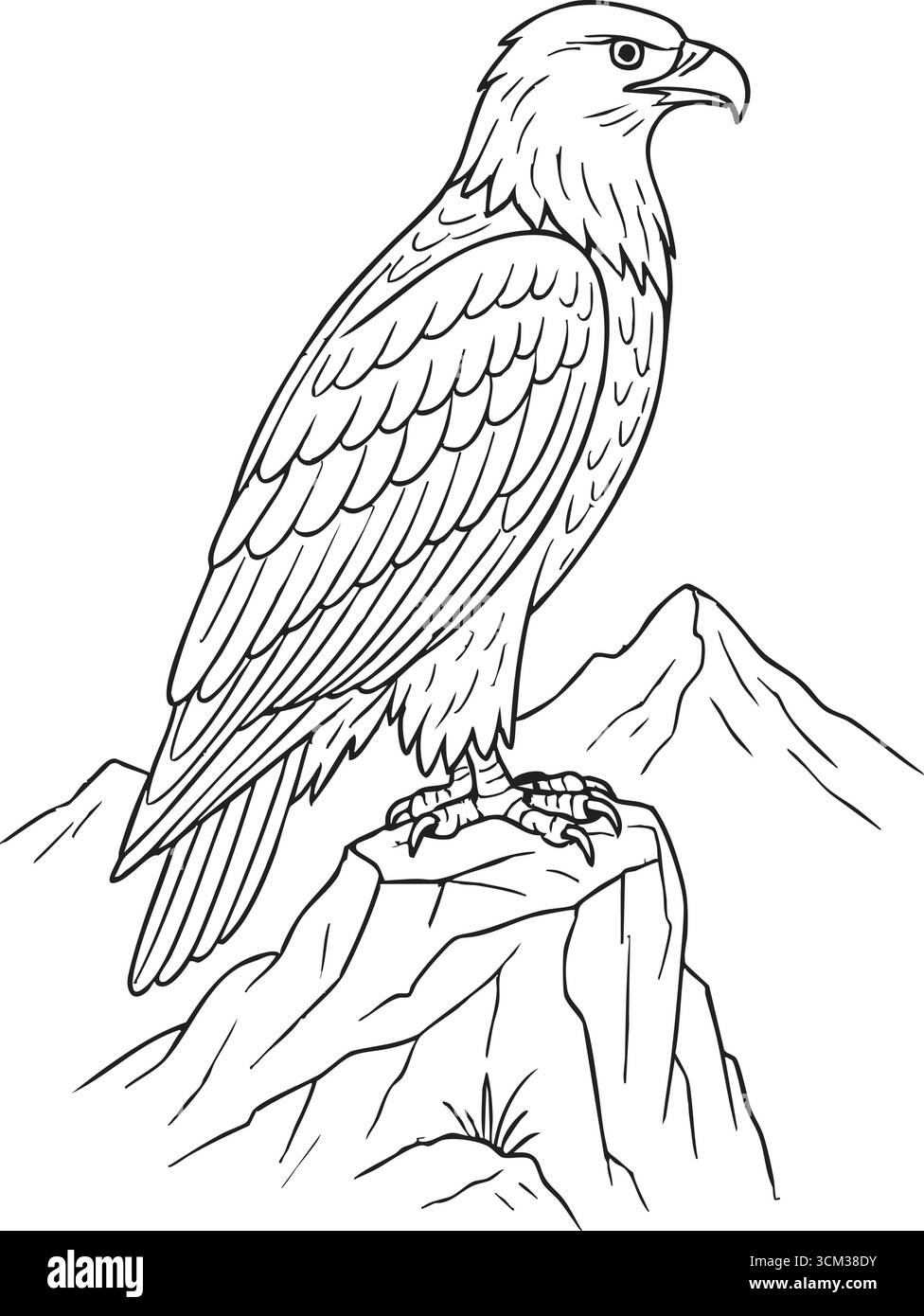 Ein starker Adler steht auf einem zerklüfteten Felsen mit definierten Federn und gedrehtem Kopf, als würde er das Tal darunter abtasten Stock Vektor