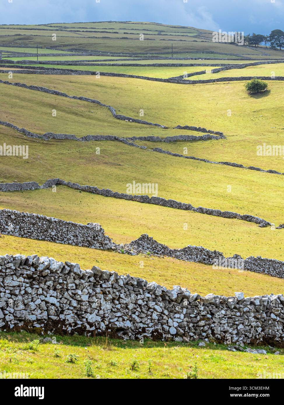Kalksteinmauern im Morgenlicht, in der Nähe von Hartington, White Peak Area, Peak District National Park, Derbyshire, England Stockfoto
