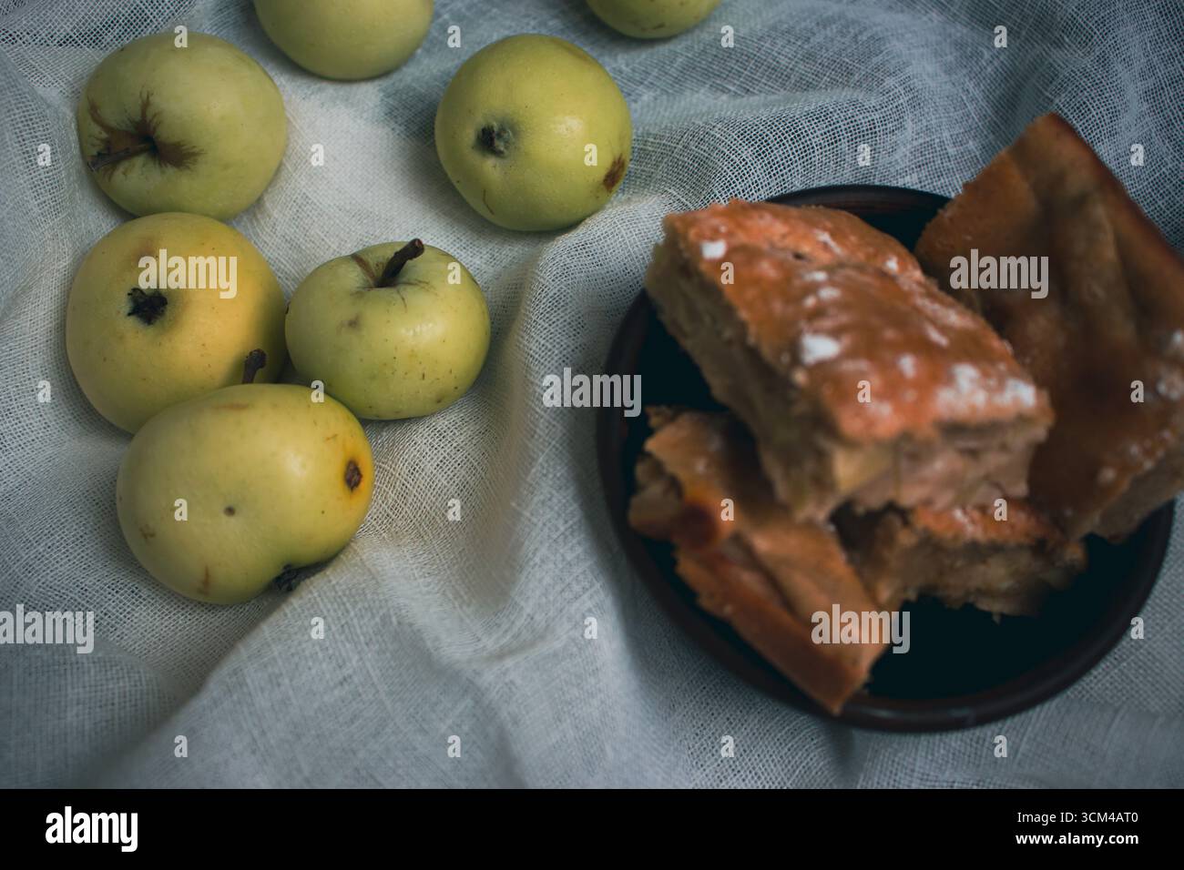 Apfelkuchen mit Puderzucker und grünen Äpfeln. Herbstdessert. Hausgemachtes Dessert. Apfelkuchen mit Zimt und frischen Apfelfrüchten. Stillleben auf dem Land. Stockfoto