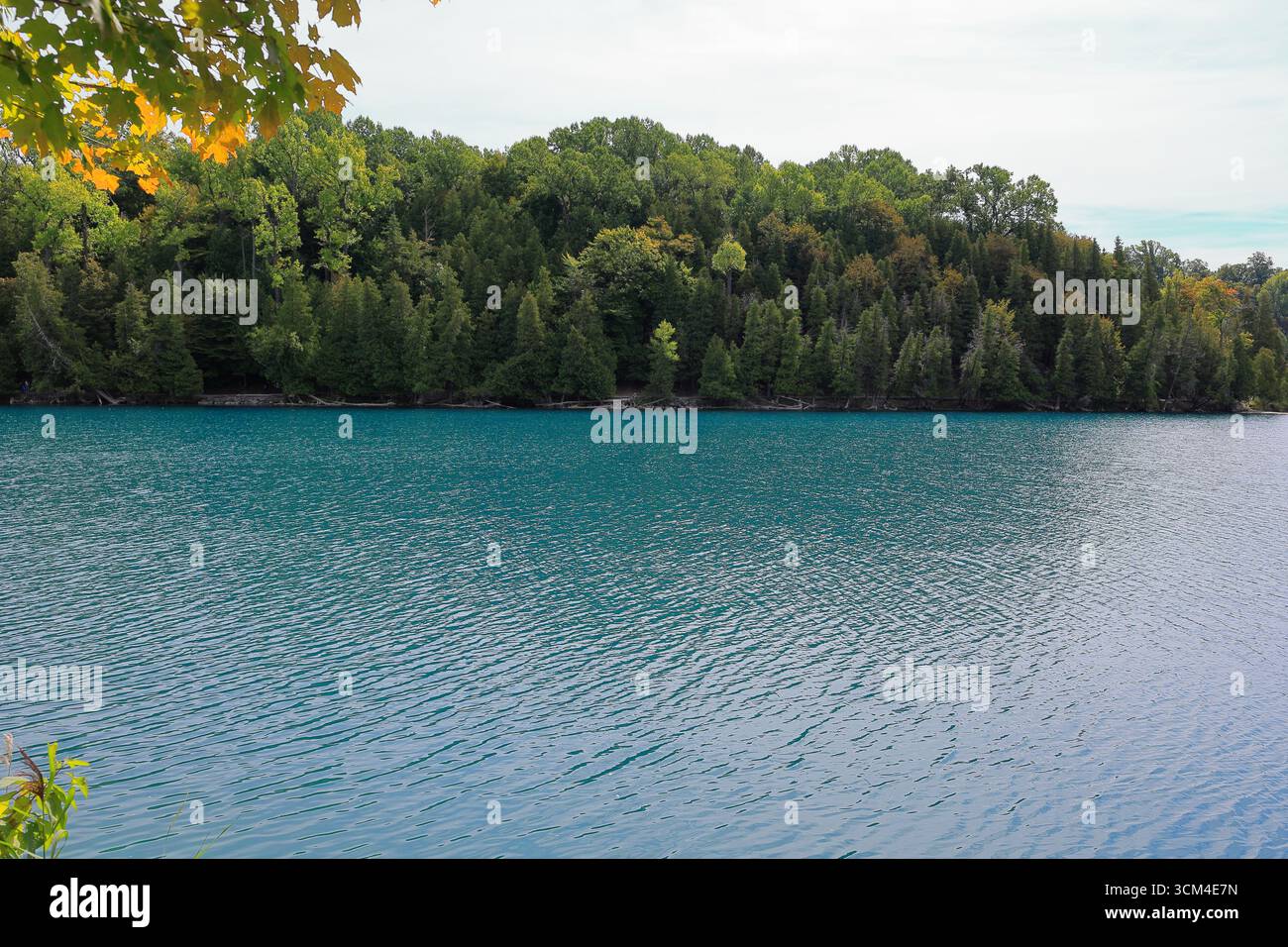 Markantes türkisfarbenes Wasser und alter Wald aus einem Park im Norden von New York Stockfoto