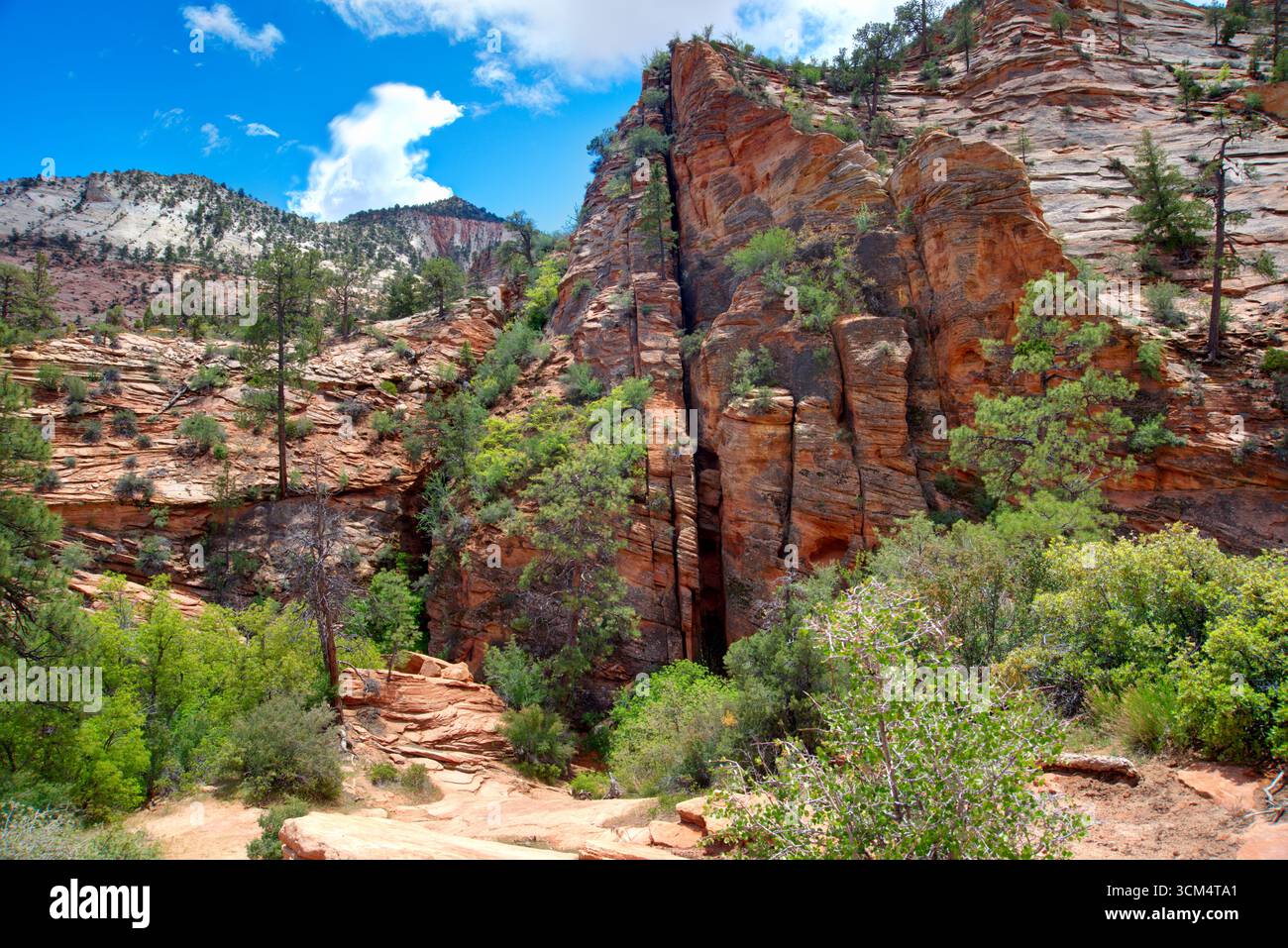 Zion-Nationalpark, Utah, USA. Entdecken Sie die Wanderwege, die Landschaft, die Felsen, die Vegetation und den Sand des Zion-Nationalparks. Stockfoto