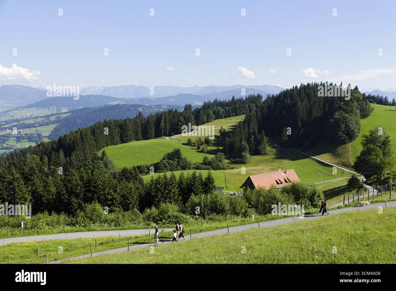 Wanderer auf Mount Pfander, Bregenz, Vorarlberg, Österreich Stockfoto