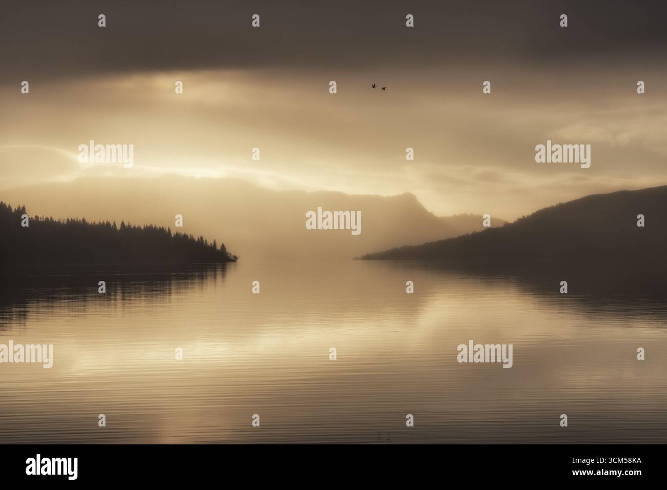 Ein goldener Morgen mit einer Pause in den Wolken am Ufer von Loch Katrine. Die Wolken und Berge spiegeln sich im Wasser. Gänse fliegen über den See Stockfoto
