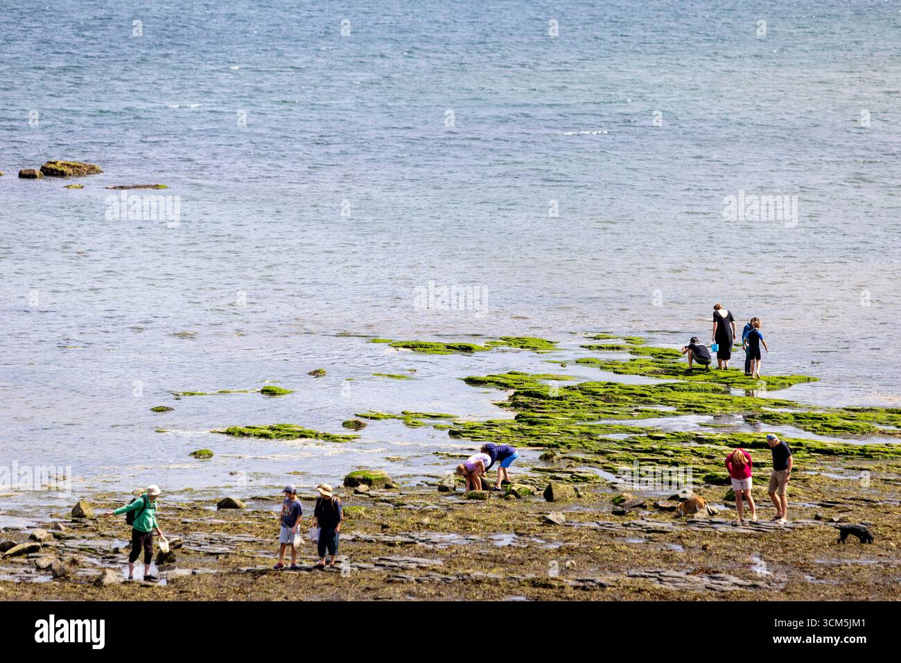 Runswick Bay ist ein beliebtes Küstendorf an der Yorkshire Coast in North Yorkshire im Sommer Stockfoto
