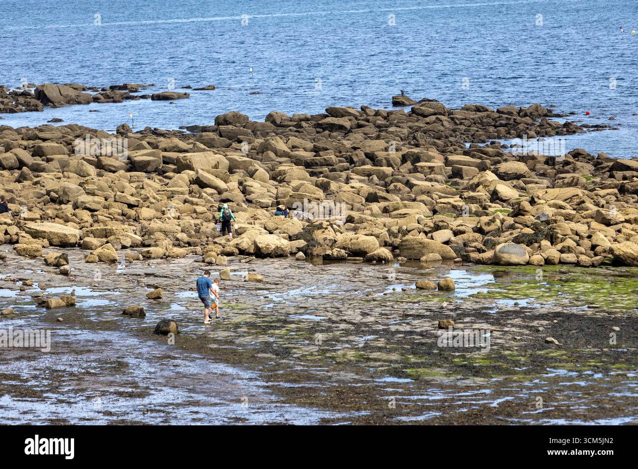 Runswick Bay ist ein beliebtes Küstendorf an der Yorkshire Coast in North Yorkshire im Sommer Stockfoto