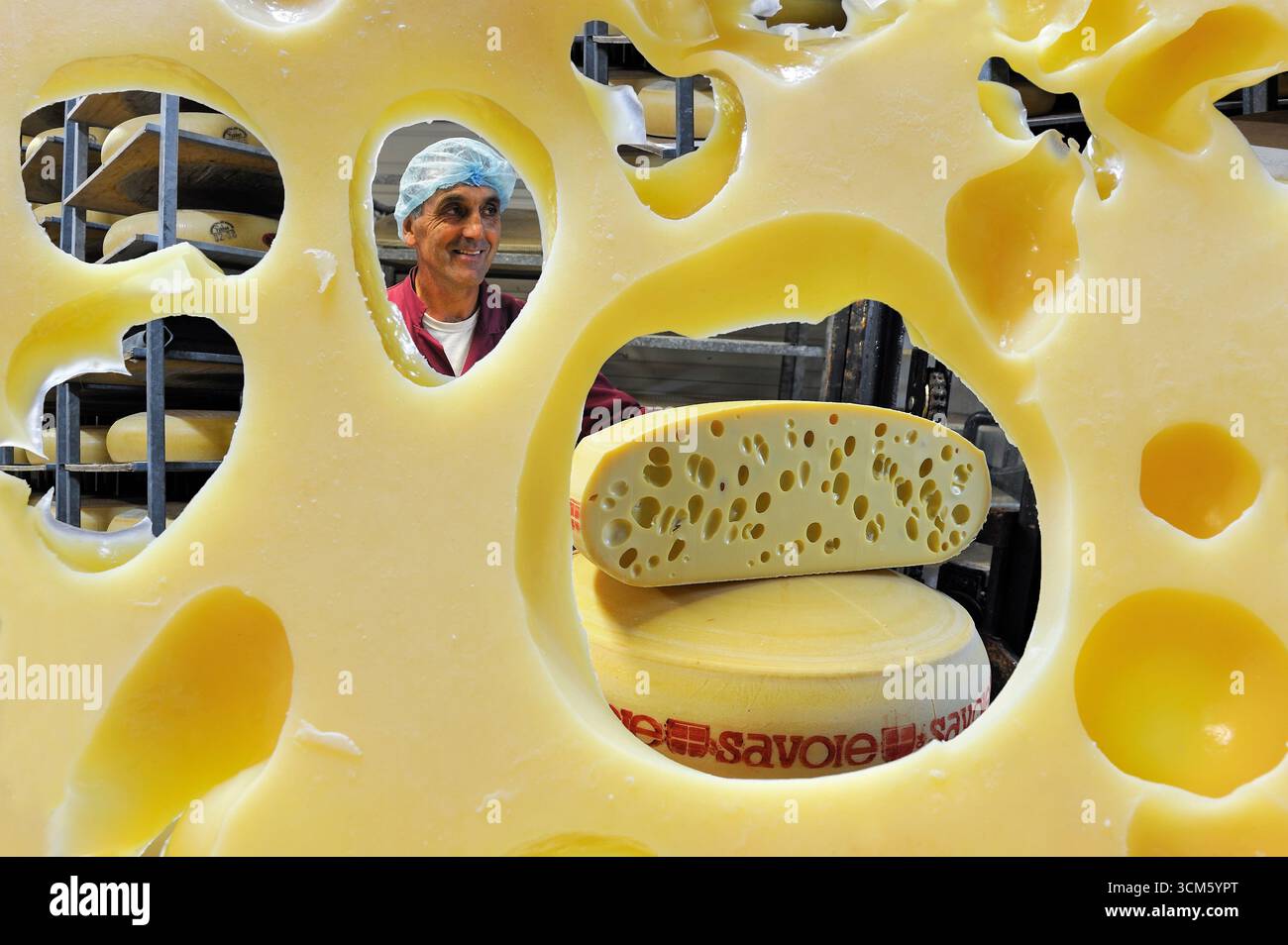 Scheibe Emmental de Savoie, Käsefabrik Chabert in Vallieres, Departement Haute-Savoie, Region Rhone-Alpes, Frankreich, Europa Stockfoto