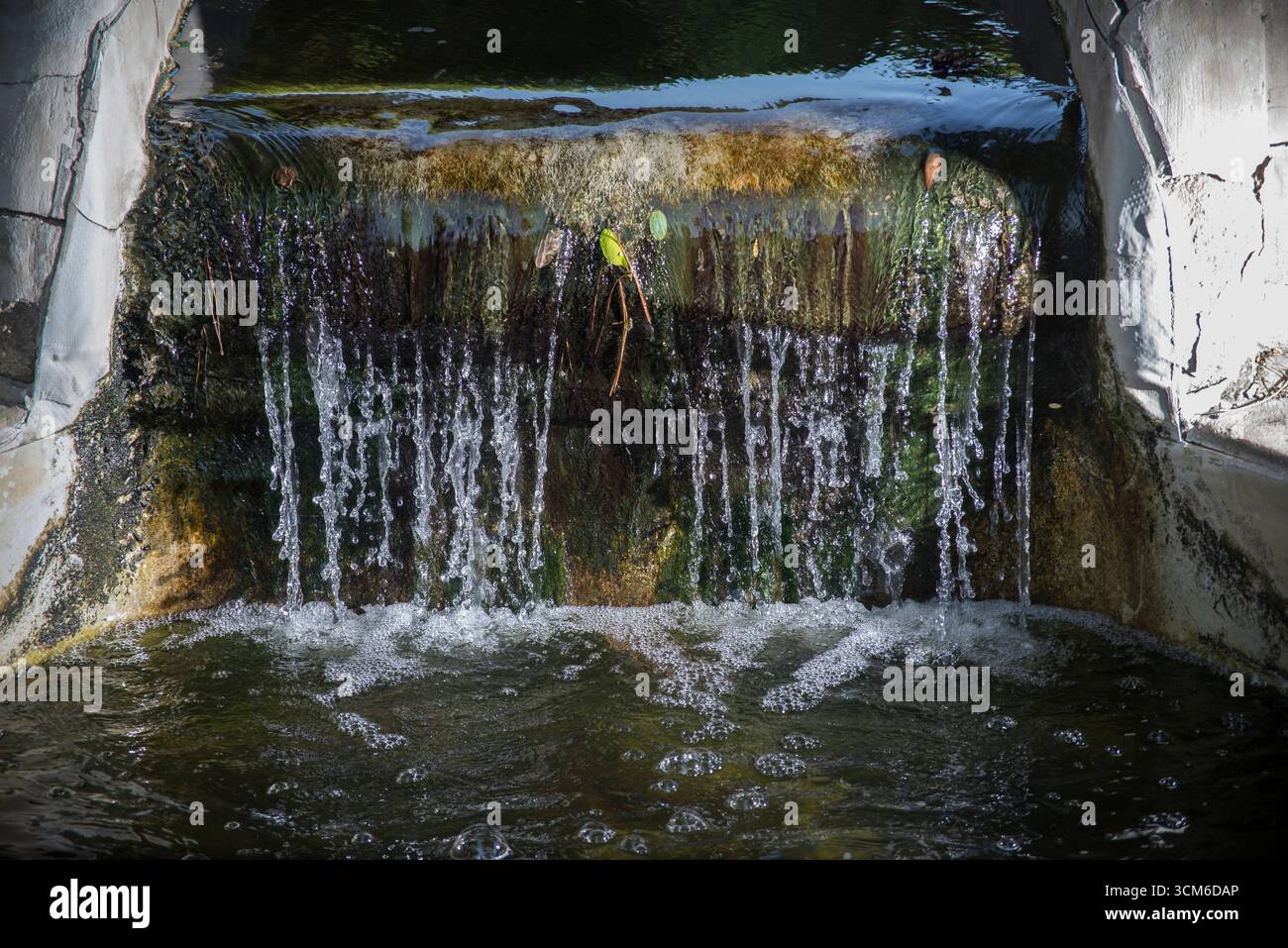 Agua cayendo en cascada desde una estructura de piedra con Musgo y Algas, formando espuma en un arroyo bajo luz Natural. Stockfoto