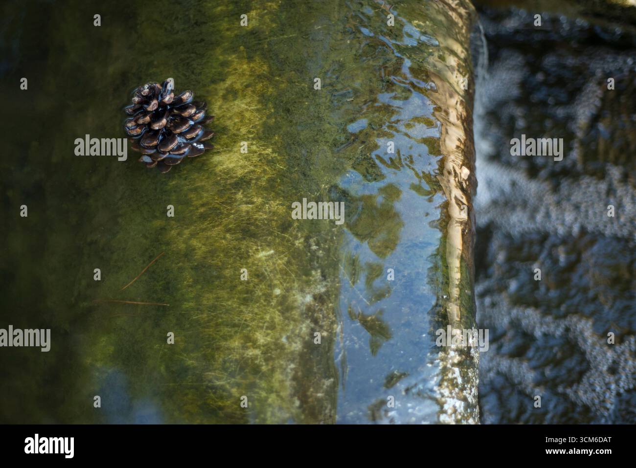 Agua cayendo en cascada desde una estructura de piedra con Musgo y Algas, formando espuma en un arroyo bajo luz Natural. Stockfoto