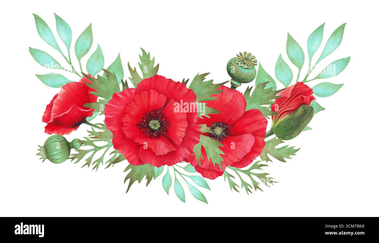 Horizontale Zusammensetzung der Mohnblume mit Schote und türkisfarbenem Zweig. Botanische Aquarellillustration. Handgezeichnete Einzelarbeit. Symbolismus Stockfoto