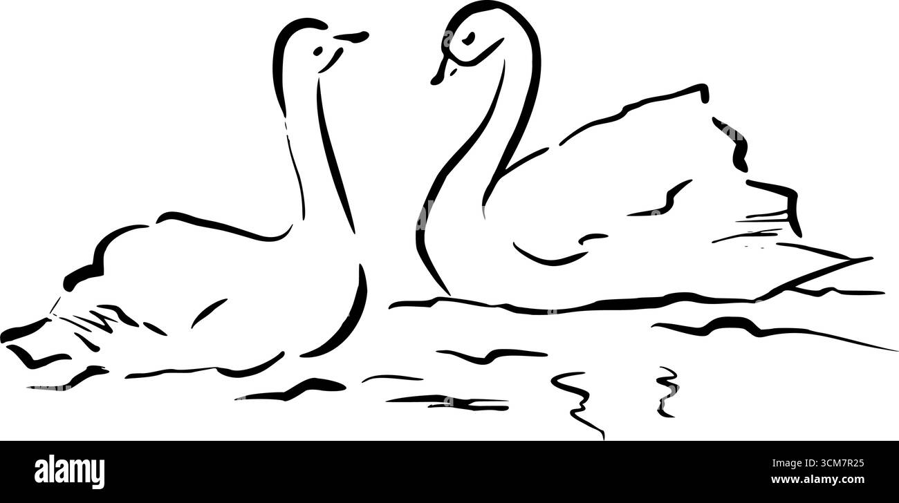 Ein paar Schwäne schwimmen zusammen. Vektor-skurrile, schnelle Zeichnung von Strichgrafiken. Ideal für Hochzeit Schreibwaren, romantische Poster und Literatur Stock Vektor