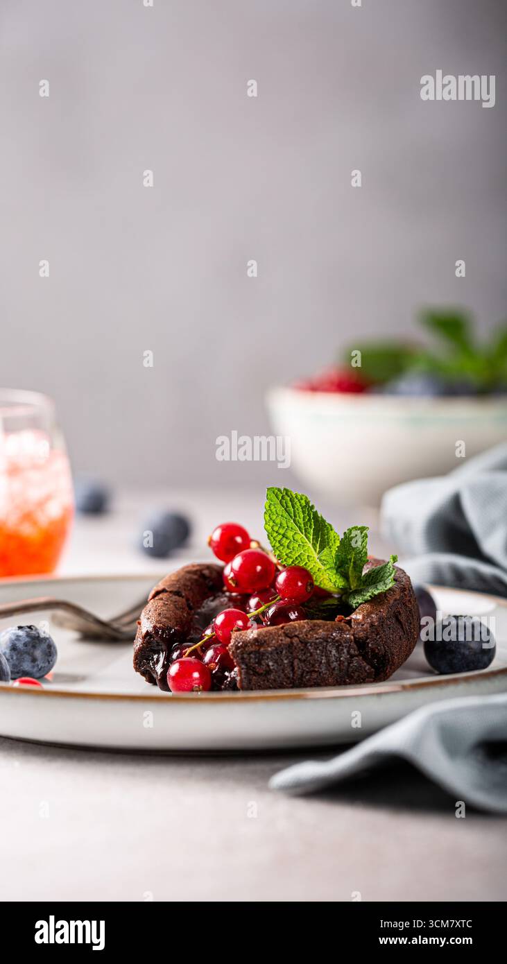 Reichhaltiges Schokoladendessert garniert mit lebendigen Beeren und Minzblättern, elegant auf einem Teller präsentiert, mit kulinarischer Kunst und Geschichten Vorlagen Stockfoto