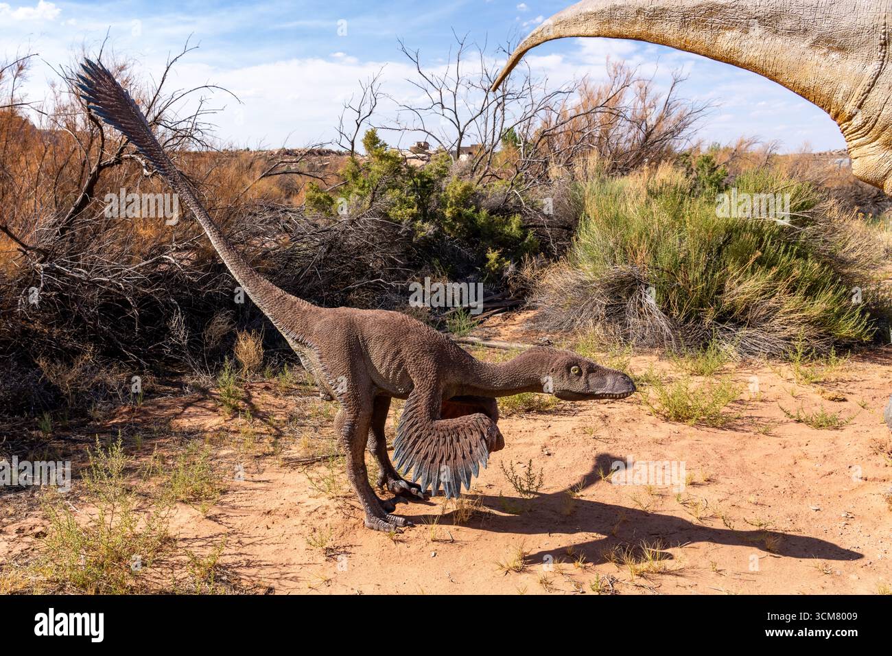 Lebensgroße Nachbildung des Dinosauriers Deinonychus antirrrhopus der Dinosaurierpark Moab Giants in Moab, Utah. Deinonychus war ein mittelgroßer Raptor, größer Stockfoto