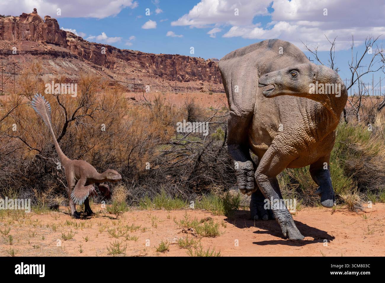 Lebensgroße Nachbildung des Dinosauriers Iguanodon bernissartensis der Moab Giants Dinosaurier Park in Moab, Utah. Es wird von einem Deinonychus-Antirr angegriffen Stockfoto