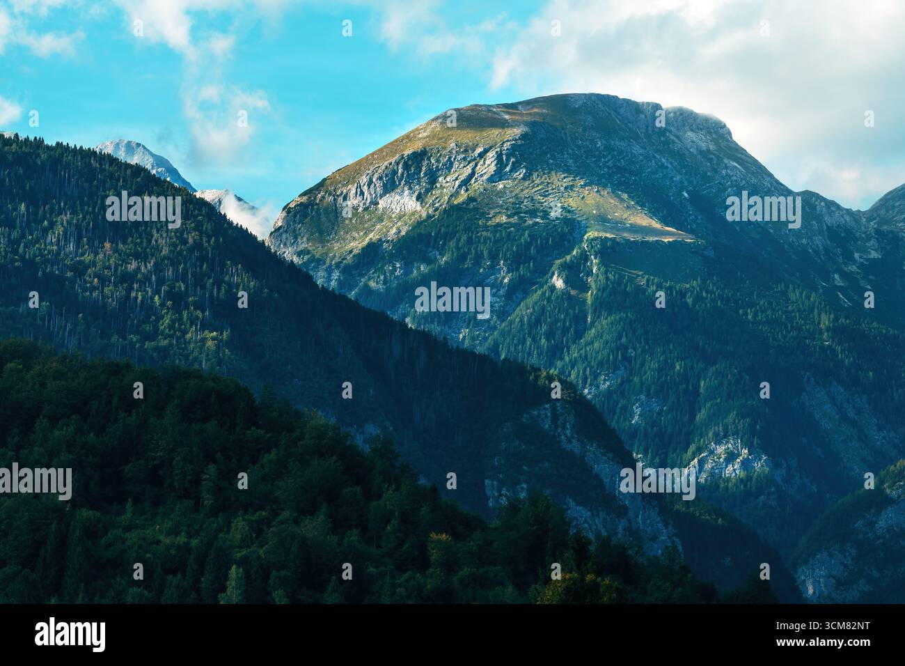 Wunderschöne Sommerlandschaft der Julischen Alpen mit grünen Wäldern und Berglandschaft. Selektiver Fokus. Stockfoto