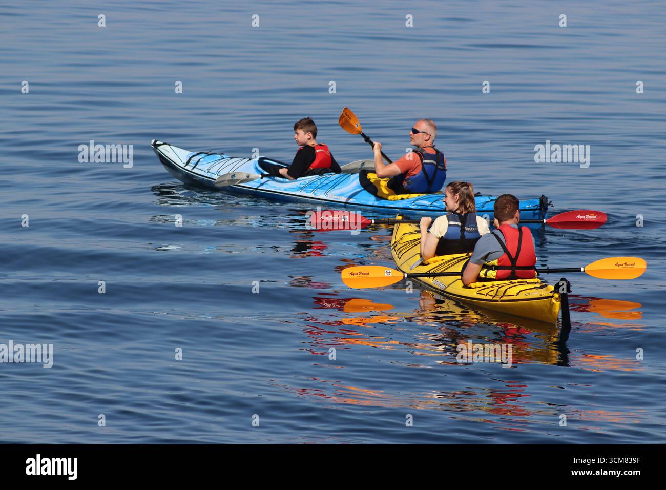 Touristen, die eine abenteuerliche geführte Kajak-Tour genießen und den Hafen von Alesund in Doppelkayaks während perfekter Sommerbedingungen erkunden. Stockfoto