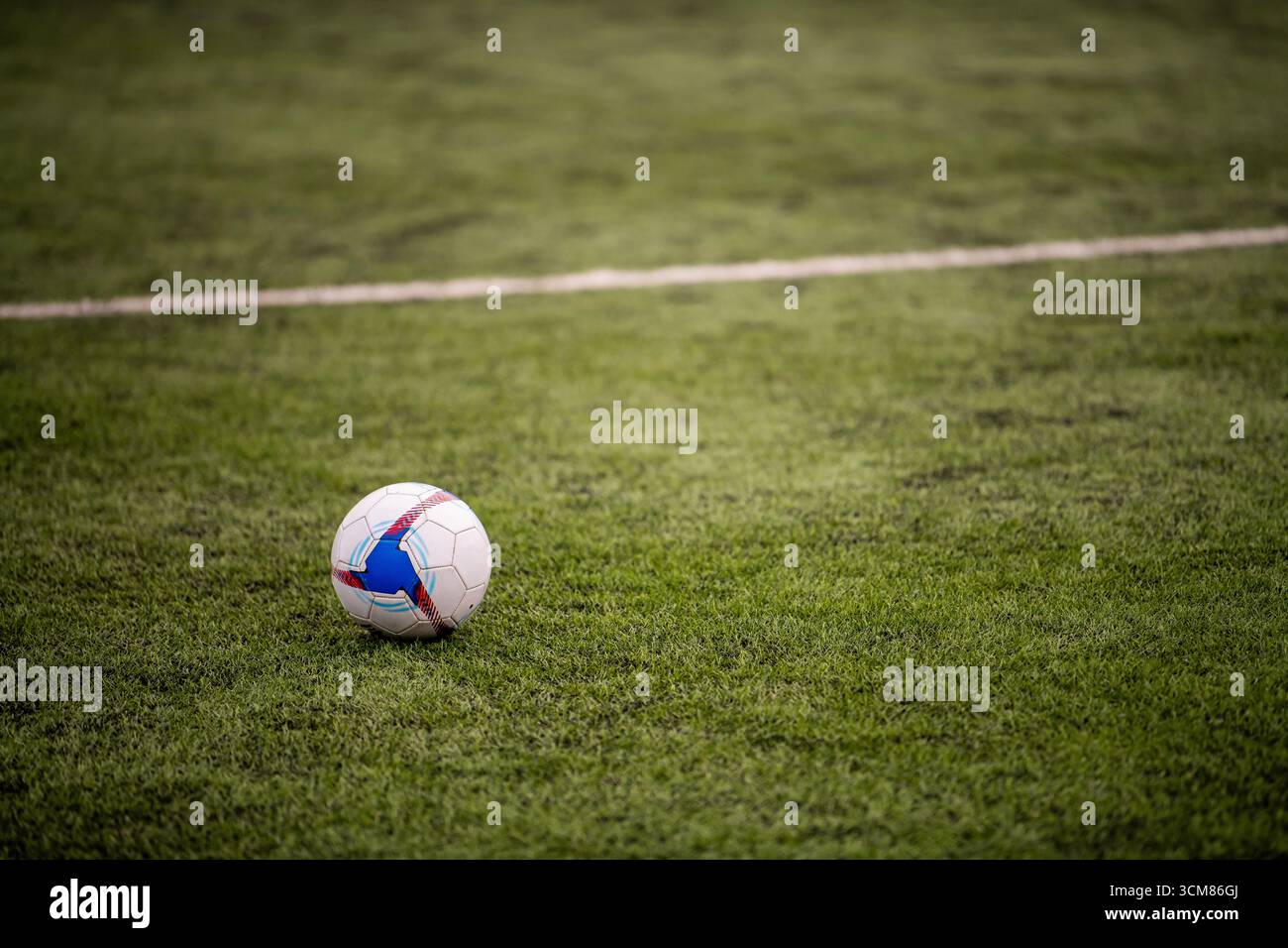 Fußball auf grünem Rasenfeld. Sport- und Wettkampfkonzept. Stockfoto
