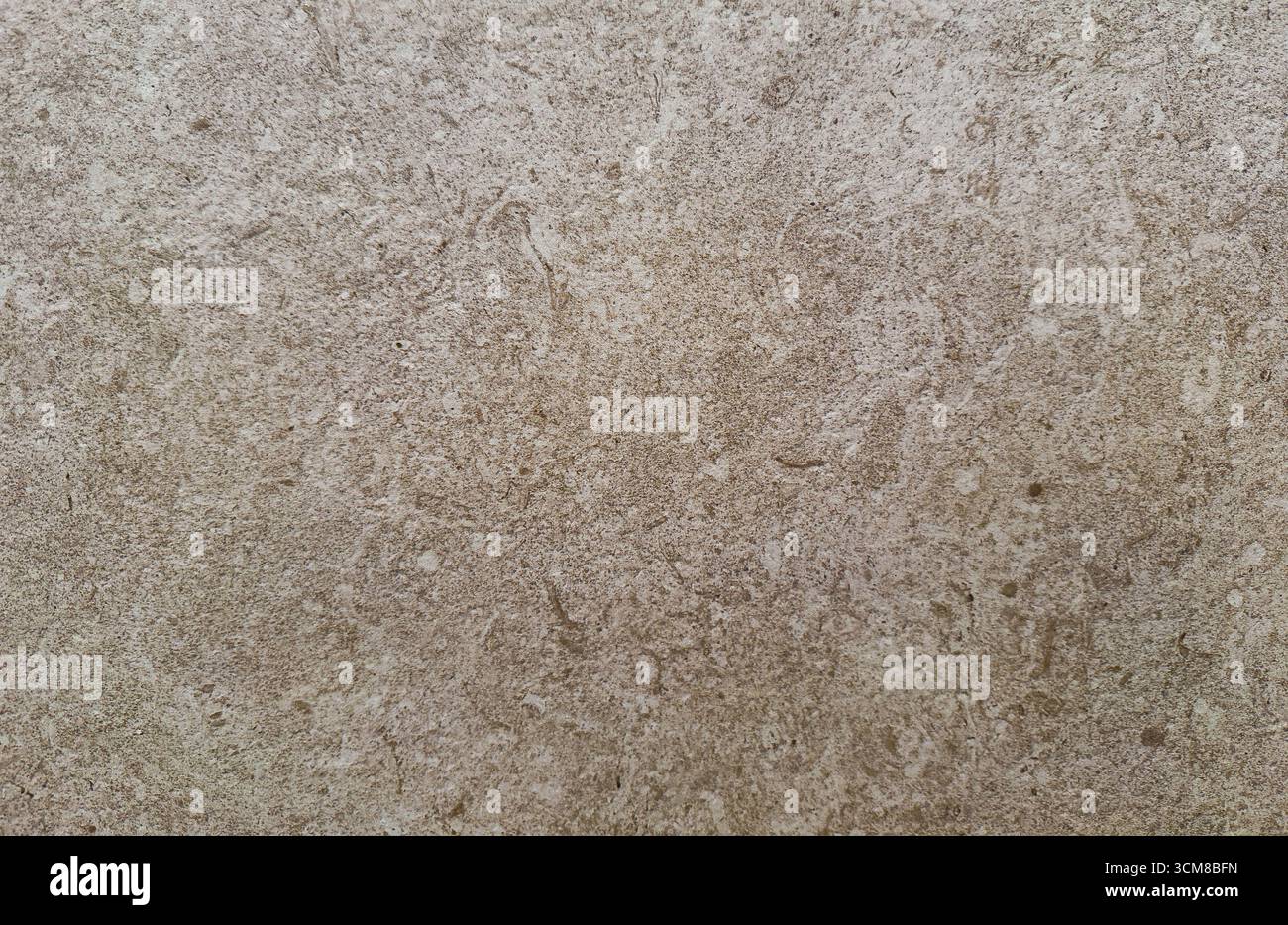 Nahaufnahme einer neutralen Steinwand mit organischen Texturen und subtilen Oberflächendetails Stockfoto