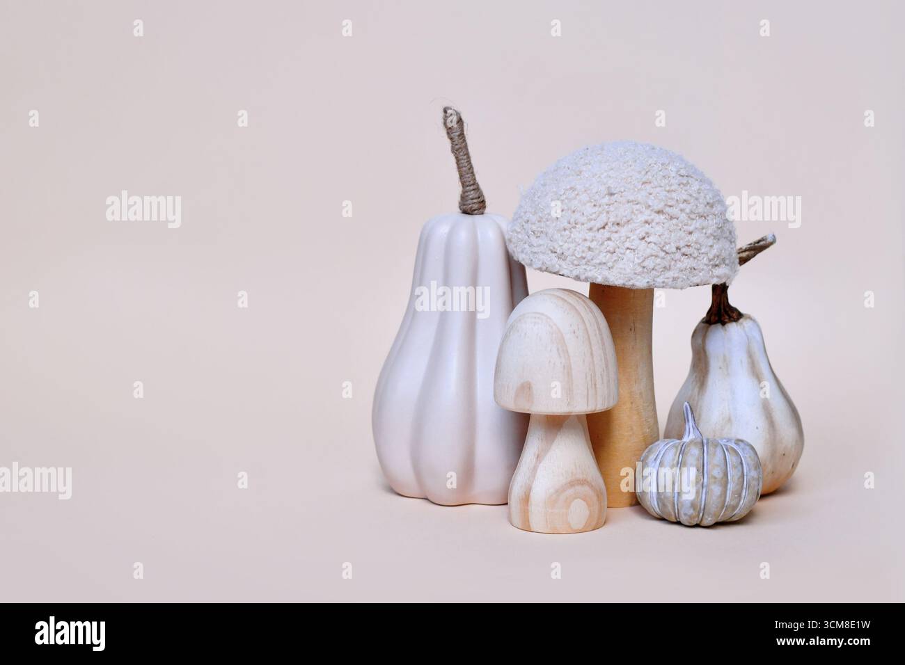 Dekorative Pilz- und Kürbisornamente auf beigefarbenem Hintergrund mit Kopierraum. Komposition der Saison im Herbst Stockfoto