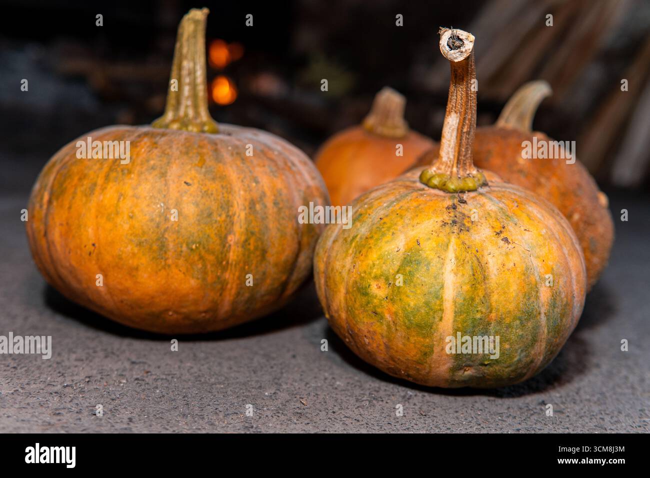 Gruppe frischer Kürbisse mit Stielen auf einer rustikalen Oberfläche. Natürliche Farben von Orange und Grün betonen die Ernte, den ökologischen Landbau und den Herbst Stockfoto