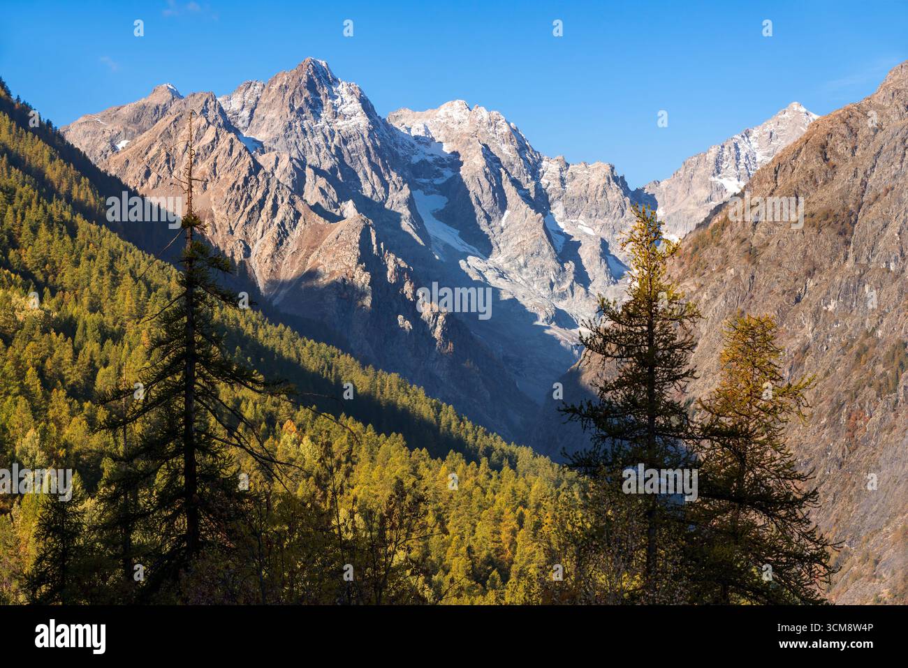 Herbstlicher Alpenblick auf den Nationalpark Ecrins mit Berggipfeln und Lärchenwald bei Vallouise-Pelvoux in den Hautes-Alpes, Französische Alpen, Frankreich Stockfoto