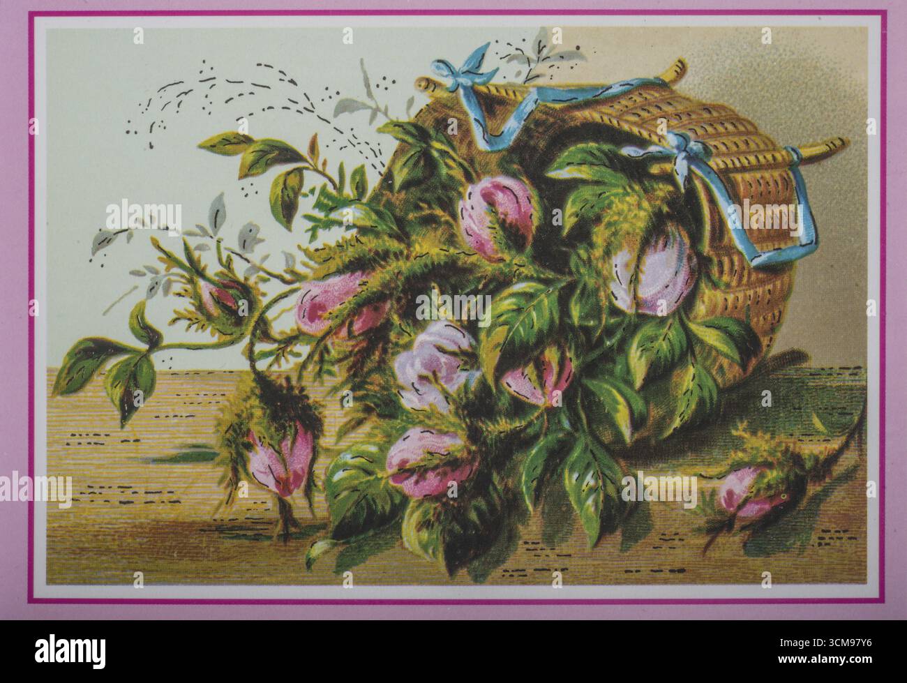 Alte Postkarte und Grußkarte. Blumen in einem horizontalen Korb Stockfoto
