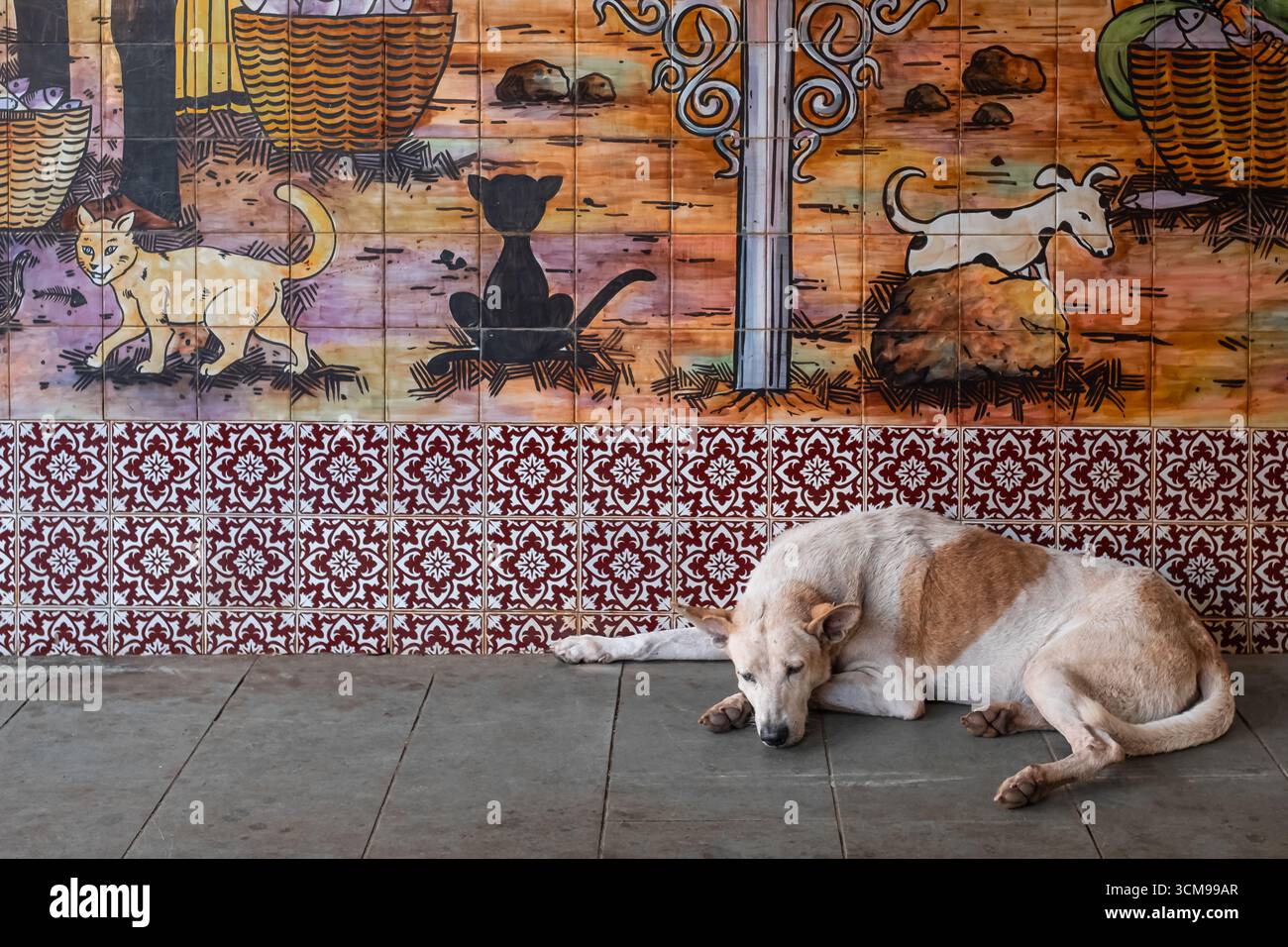 Obdachloser verlassener Hund, der auf der Straße schläft. Großer streunender Hund, der auf einem Bürgersteig auf dem Calangute India Market Place schläft. Reisefoto, Niemand-September 10,20 Stockfoto