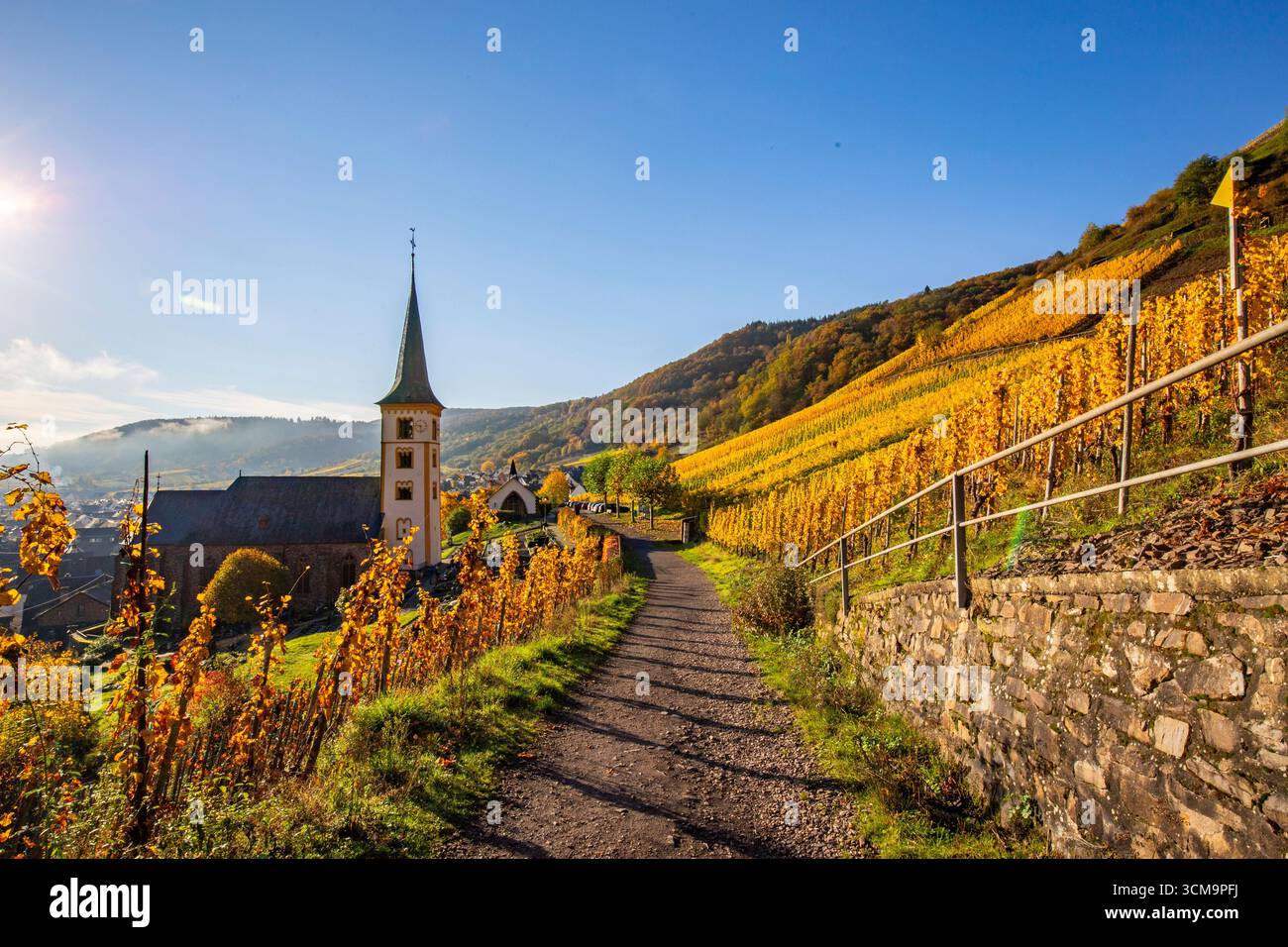 Die Moselschleife, der wunderschöne Fluss, macht eine 180-Grad-Rundfahrt mit Weinbergen und einer tollen Landschaft im Morgenlicht, Rheinland-Pfalz, Deutschland Stockfoto