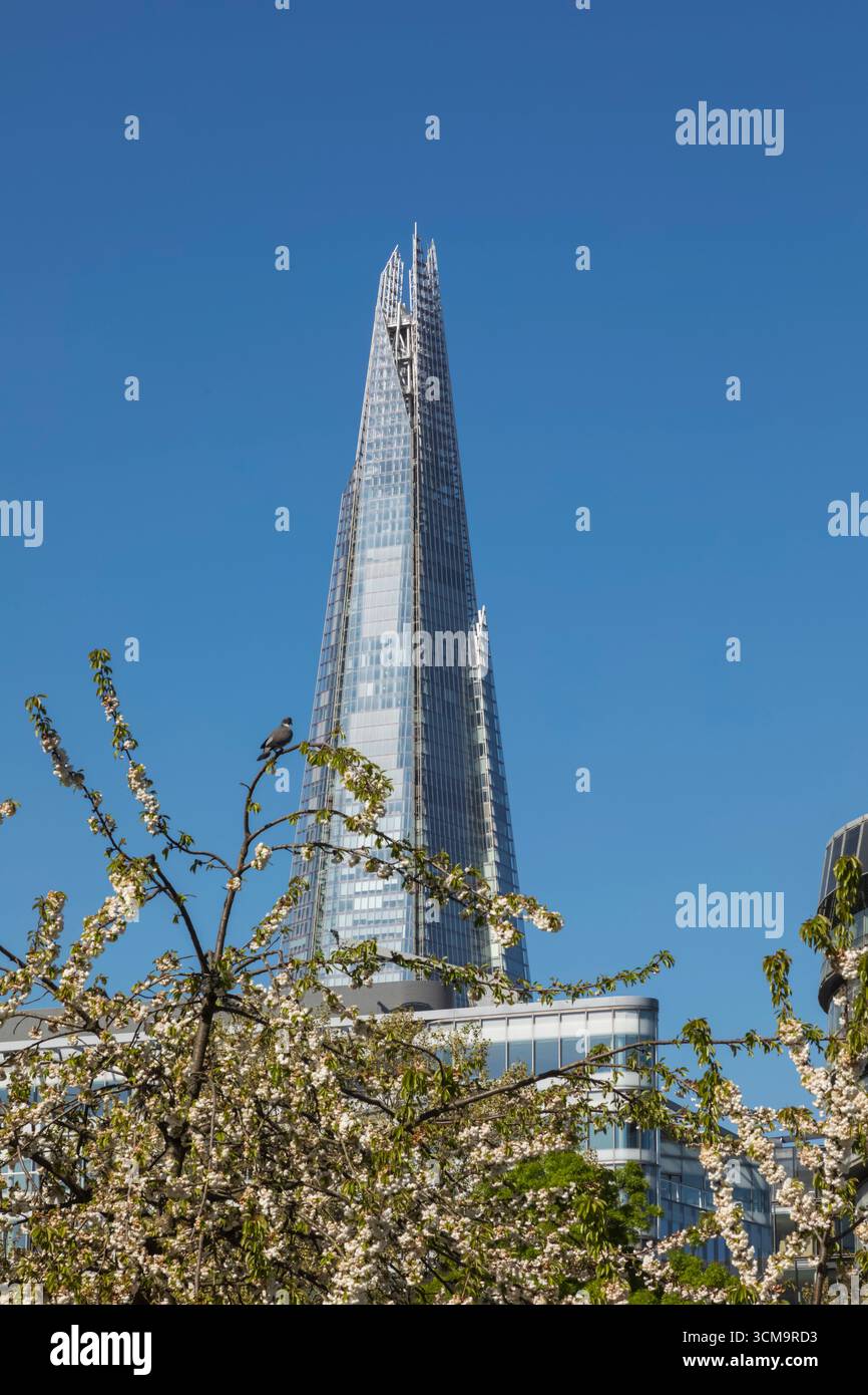 England, London, Southwark, Splitter und Spring Blossom Stockfoto
