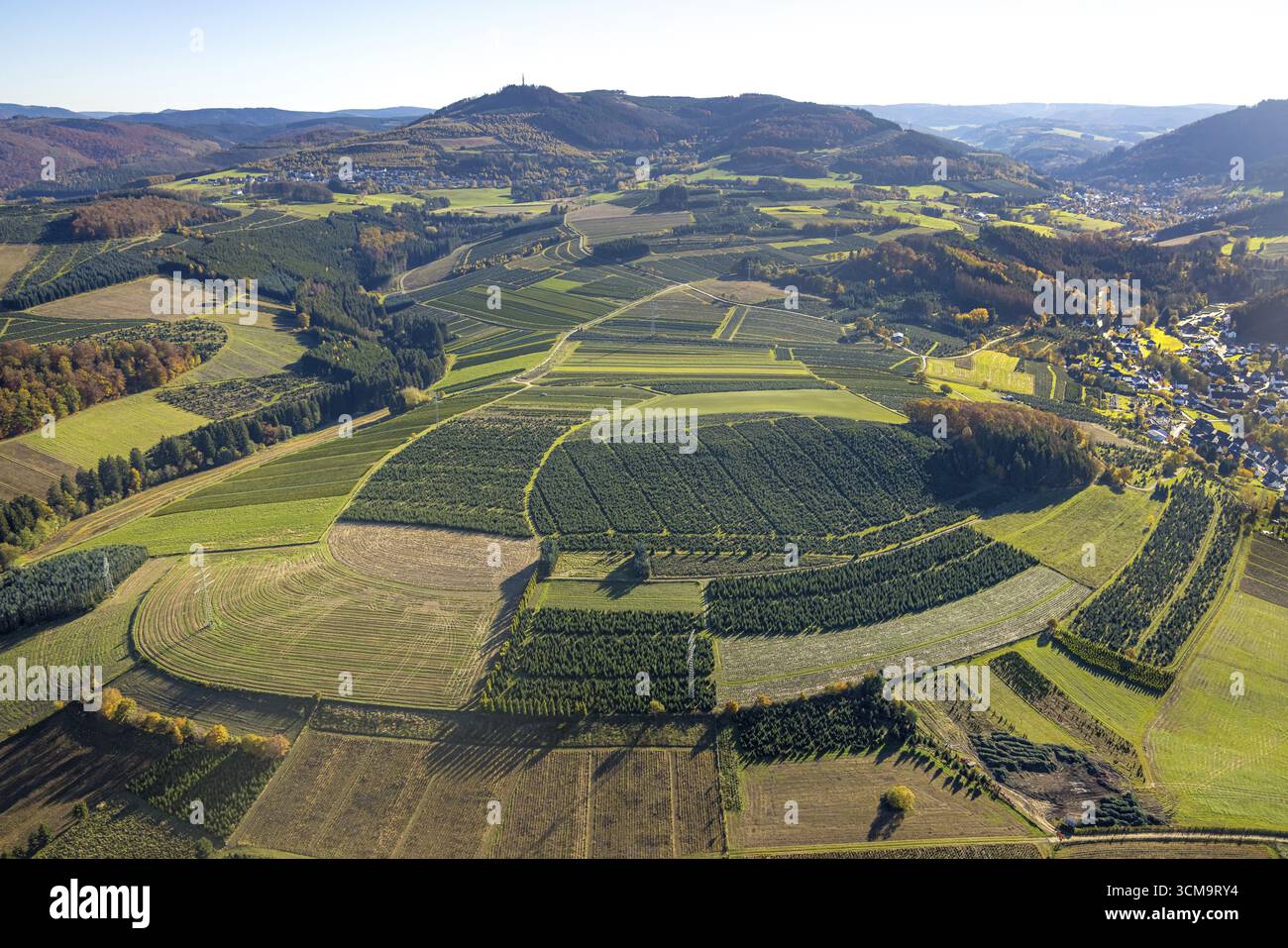 Luftaufnahme, Wiesen und Felder mit Weihnachtsbaumanbau im Landkreis Heringhausen in Bestwig, Sauerland, Nordrhein-Westfalen, Deutschland, t Stockfoto